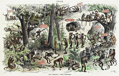 Cartoon Old Society 的图像结果