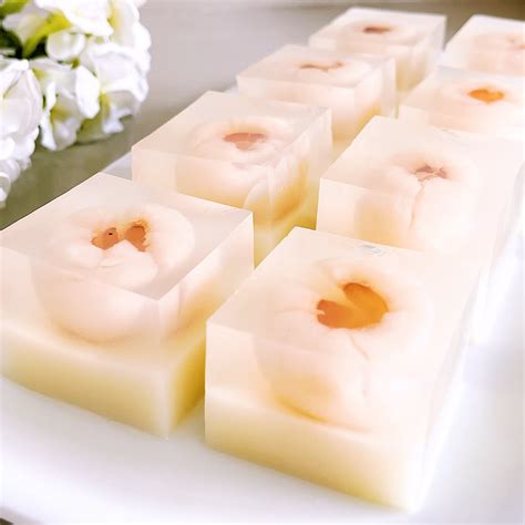 Lychee Agar-agar Jelly | 荔枝燕菜果冻糕 | Lychee pudding recipe, Lychee agar ...