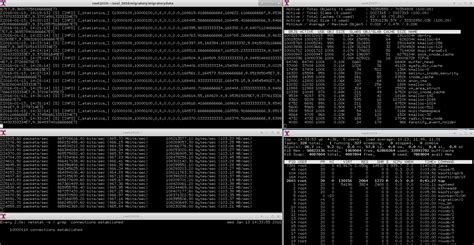 Fast C10M: MigratoryData running on Zing JVM achieves near 1 Gbps ...
