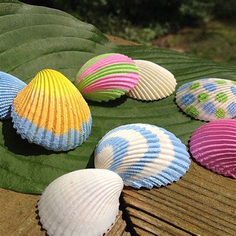 Image result for Painted Sea Shells
