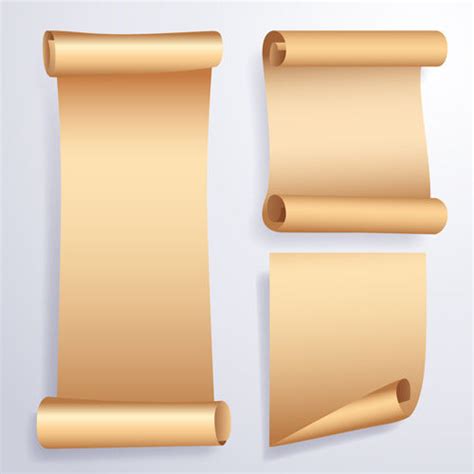 Image result for Paper Shell Banner