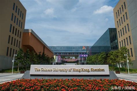香港中文大学（深圳）开学首批310名本科生开启大学生涯_图片_新闻_中国政府网