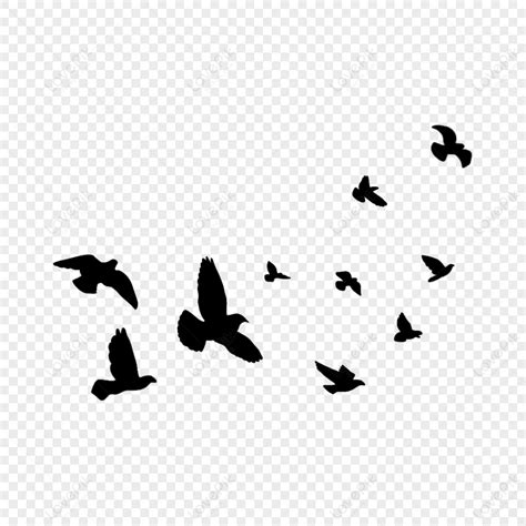 Flying Bird Silhouette Soaring In The Sky,collections,drawing PNG Image ...
