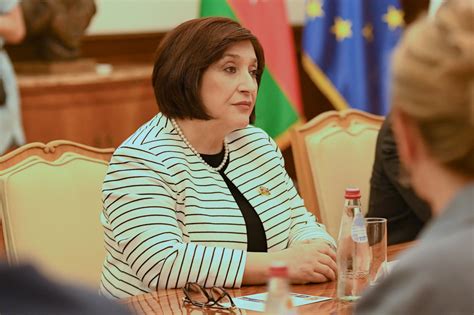Milli Meclis: Milli Majlis Speaker Sahiba Gafarova, Serbian President Aleksandar Vučić Meet - president of serbia