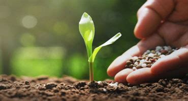 Fogla Group || Export Manufacturing & Activities