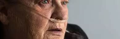Nasal mask outperforms traditional nasal cannula during gastroscopy ...