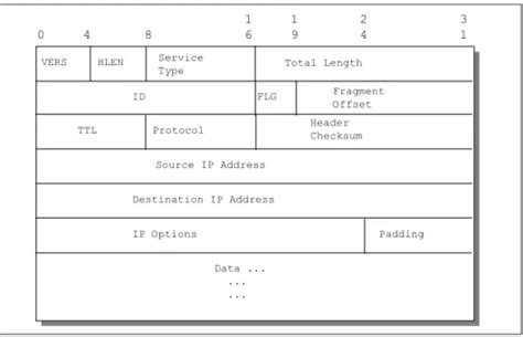 Image result for IP Datagram Frame Format