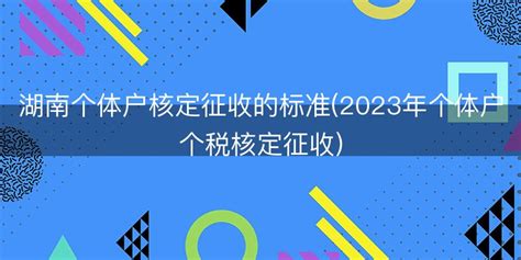 湖南个体户核定征收的标准(2023年个体户个税核定征收)-税安云
