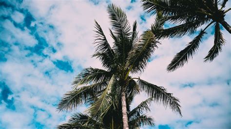 Image result for Rhythmic Pattern Sample