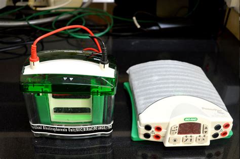 Bio-incubator at SIIC IIT Kanpur