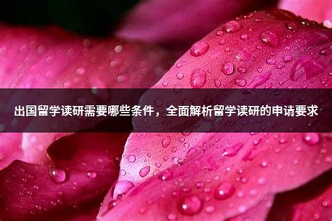 2023年9月汉阳大学ERICA校区（本科）招生简章（中文版） - 知乎