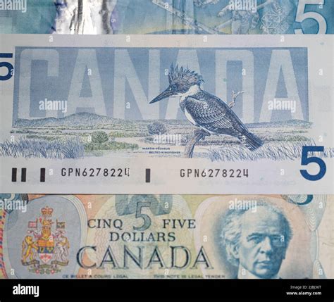 Image Clipart De Billet De 5 Dollars 2006 CANADIAN 5 DOLLAR BILL