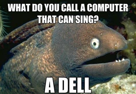 17 Hilarious Q&A Jokes That You Can Share With Your Friends At A Bar