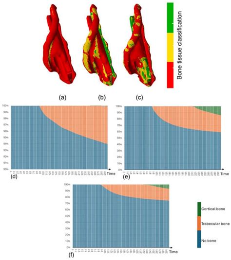 Biomechanics | An Open Access Journal from MDPI