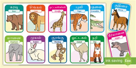 40 Animal Flash Cards in Tamil/English