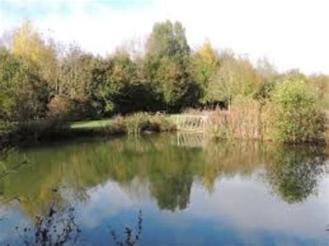 THORNEY LAKES CARAVAN & CAMPING PARK (Muchelney) - Campground Reviews ...