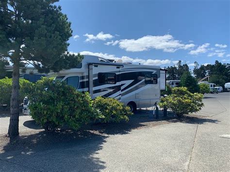 PACIFIC PINES RV PARK (Florence) - Campground Reviews & Photos ...