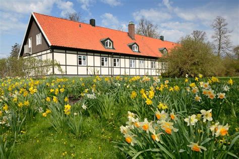 Image result for Swedish Spring