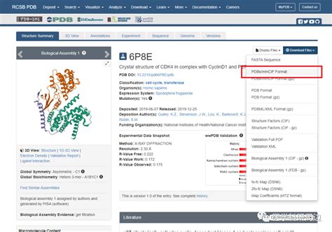 PDB Tutorial 的图像结果