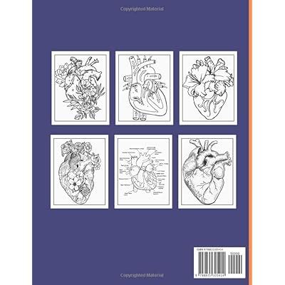 Cardiology Anatomy Coloring Book: Fun and Easy Human India | Ubuy