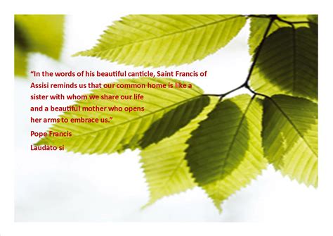 Laudato Si - Encyclical Letter of Pope Francis on Care For Our Common ...