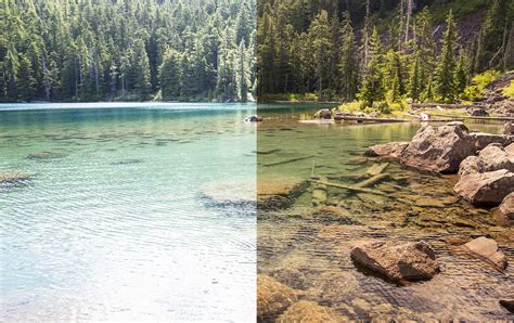 Polarized Vs Non Polarized