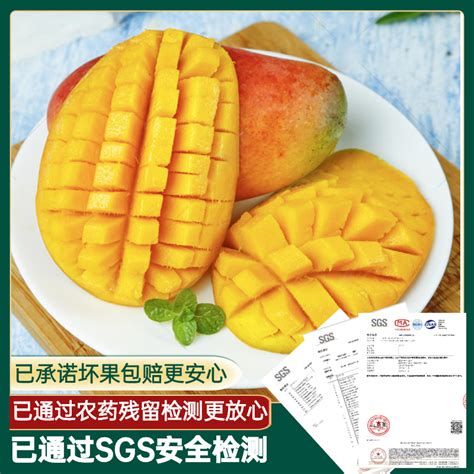海南三亚菠萝蜜黄肉干苞现摘新鲜水果树菠萝15-55斤一级大果_虎窝淘