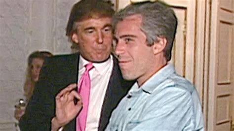 'Epstein is rolling in his grave laughing': Artist reveals why he photographed convicted ...