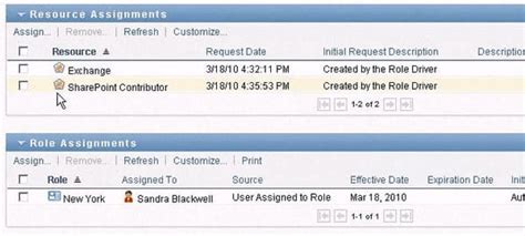 Image result for NetIQ Identity Manager Features
