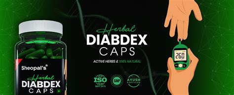 Buy Sheopal's Herbal Diabdex Diabetes Capsule (60 Capsules) Online at ...
