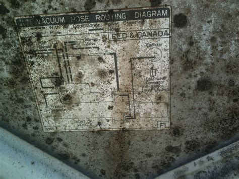 Auto Cleaner 的图像结果