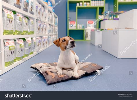 27,928 Pets Industry Animal Images, Stock Photos & Vectors | Shutterstock