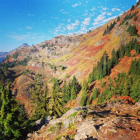PNW fall colors on a hike I did a couple weeks ago. : r/pics