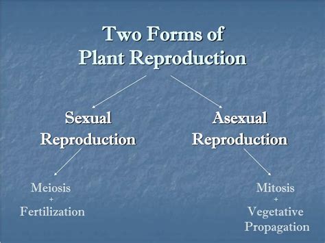 Image result for Types of Plant Reproduction