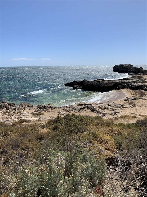 New Reference Photos: Perth Beaches and Gardens - Draw Paint Academy