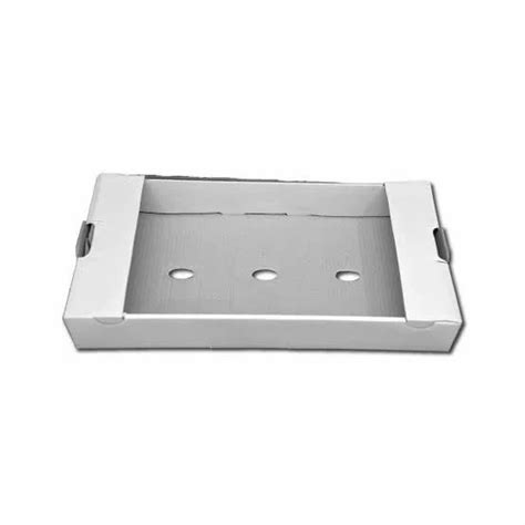 Fruit Boxes - Strawberry Punnet Boxes Wholesale Trader from Pune