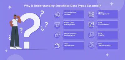 Snowflake Data Types 的图像结果
