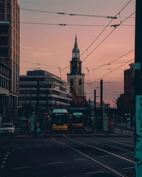 Camilla+Araujo+Pink+Pics+Free+Download Photos, Download The BEST Free ...