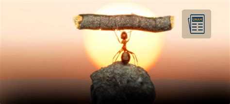 La importancia de la resiliencia