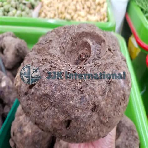 Elephant yams - Jjk International