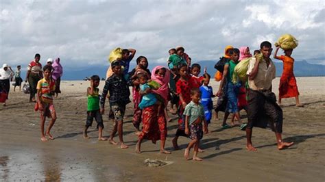 Union ministers discuss eviction of Rohingya refugees fleeing to India ...