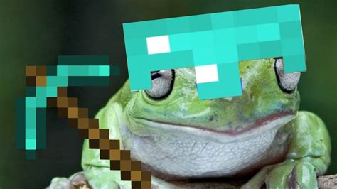 Image result for Minecraft Live Frog