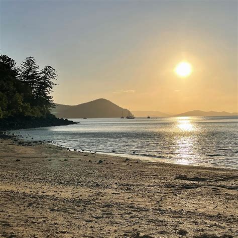 DUGONG-SAWMILL TRACK (2025) All You Need to Know BEFORE You Go (with ...