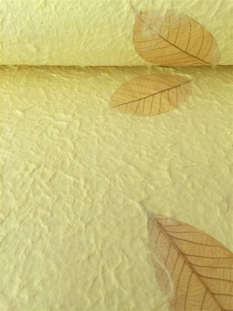 Nature Paper 的图像结果