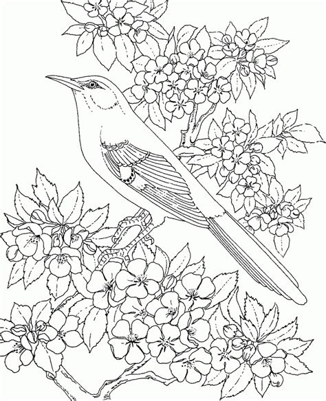 Arkansas State Bird And Flower Coloring Page – Free Clipart #500318 ...
