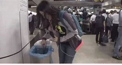 西安交大回应留学生专用垃圾桶事件 的图像结果