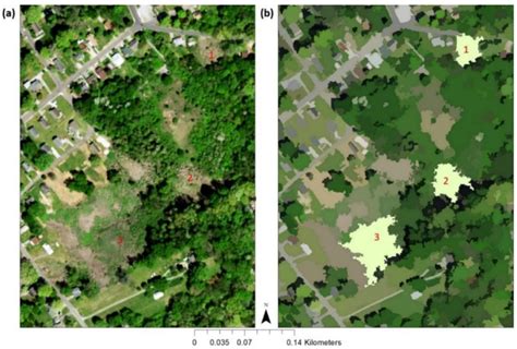Mapping Vegetation at Species Level with High-Resolution Multispectral ...