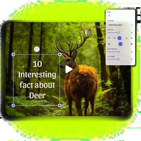 Image result for Video Editing Adding Text