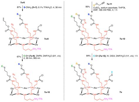 Design, Synthesis, and Utility of Defined Molecular Scaffolds