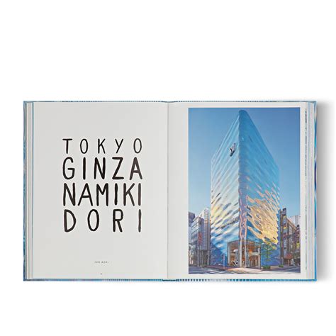 Louis Vuitton Skin: Architecture of Luxury Seoul - Books and Stationery ...